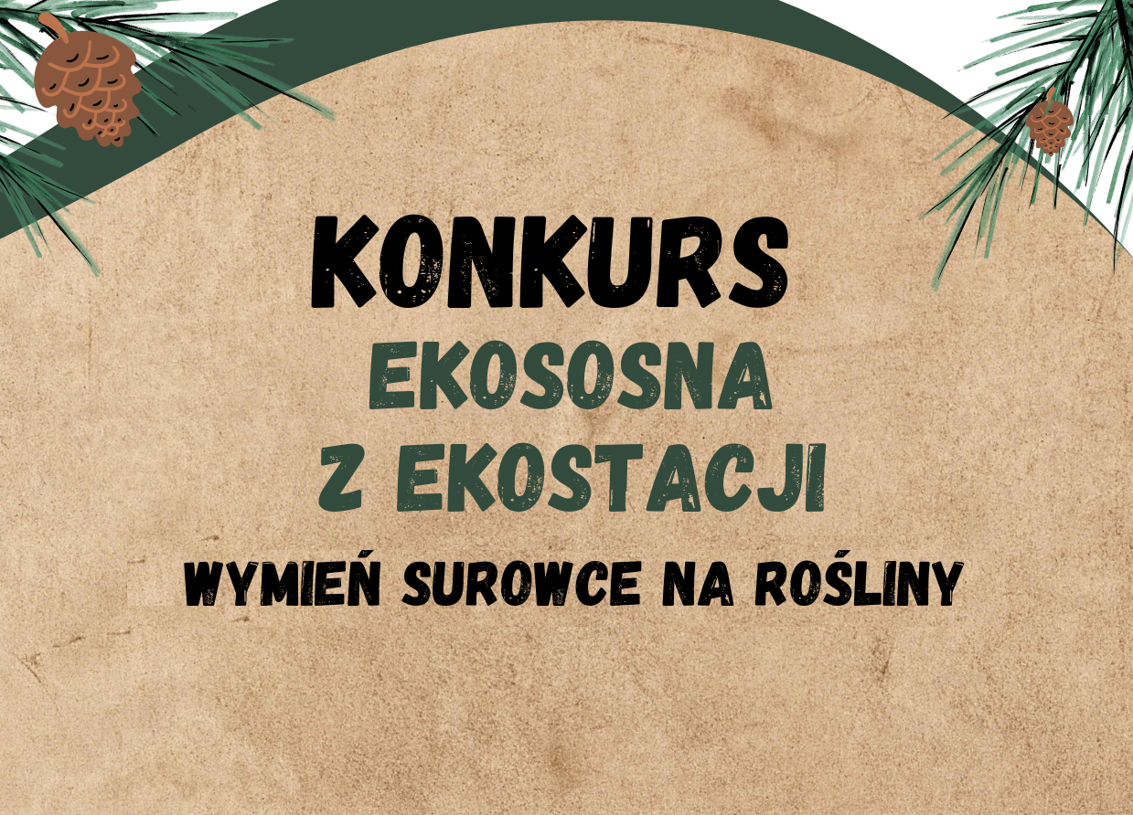 Zmiany W Regulaminie Konkursu Mpgo Sosnowiec